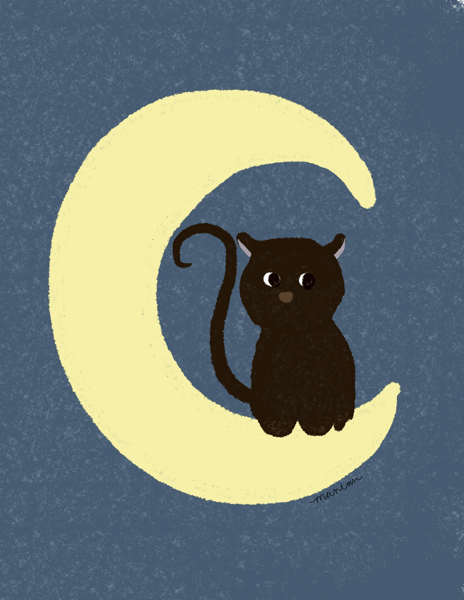 cat on the moon